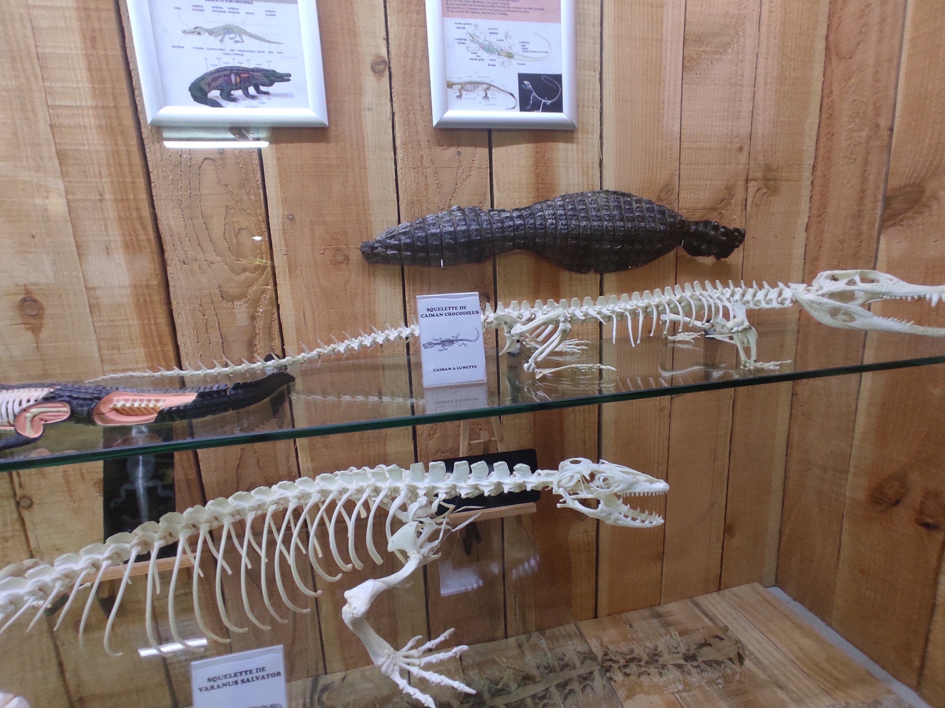 Photo n° 8 de l'avis de Florence.e fait le 01/05/2023 à 10:41