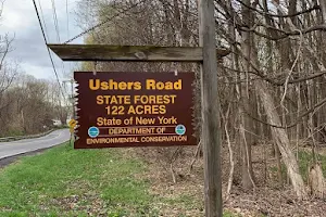 Ushers Road State Forest image