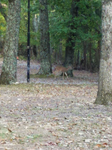 Observatory «Vanderbilt Dyer Observatory», reviews and photos, 1000 Oman Dr, Brentwood, TN 37027, USA