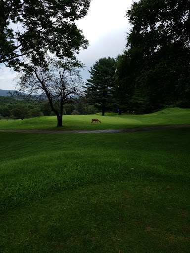 Golf Course «Apple Mountain Golf & CC», reviews and photos, 369 Hazen Oxford Rd, Belvidere, NJ 07823, USA