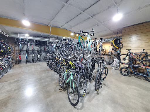 Bicycle Store «Urban Bicycle Gallery», reviews and photos, 4814 Nett St, Houston, TX 77007, USA