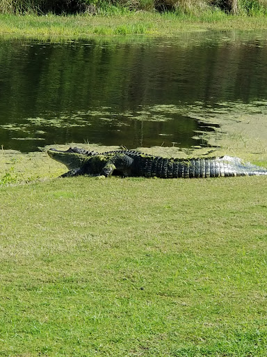 Golf Club «St. James Bay Golf Club», reviews and photos, 151 Laughing Gull Ln, Carrabelle, FL 32322, USA