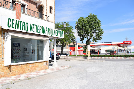 Centro Veterinario Nevada Av. Fernando de los Ríos, 24, 18100 Armilla, Granada, España