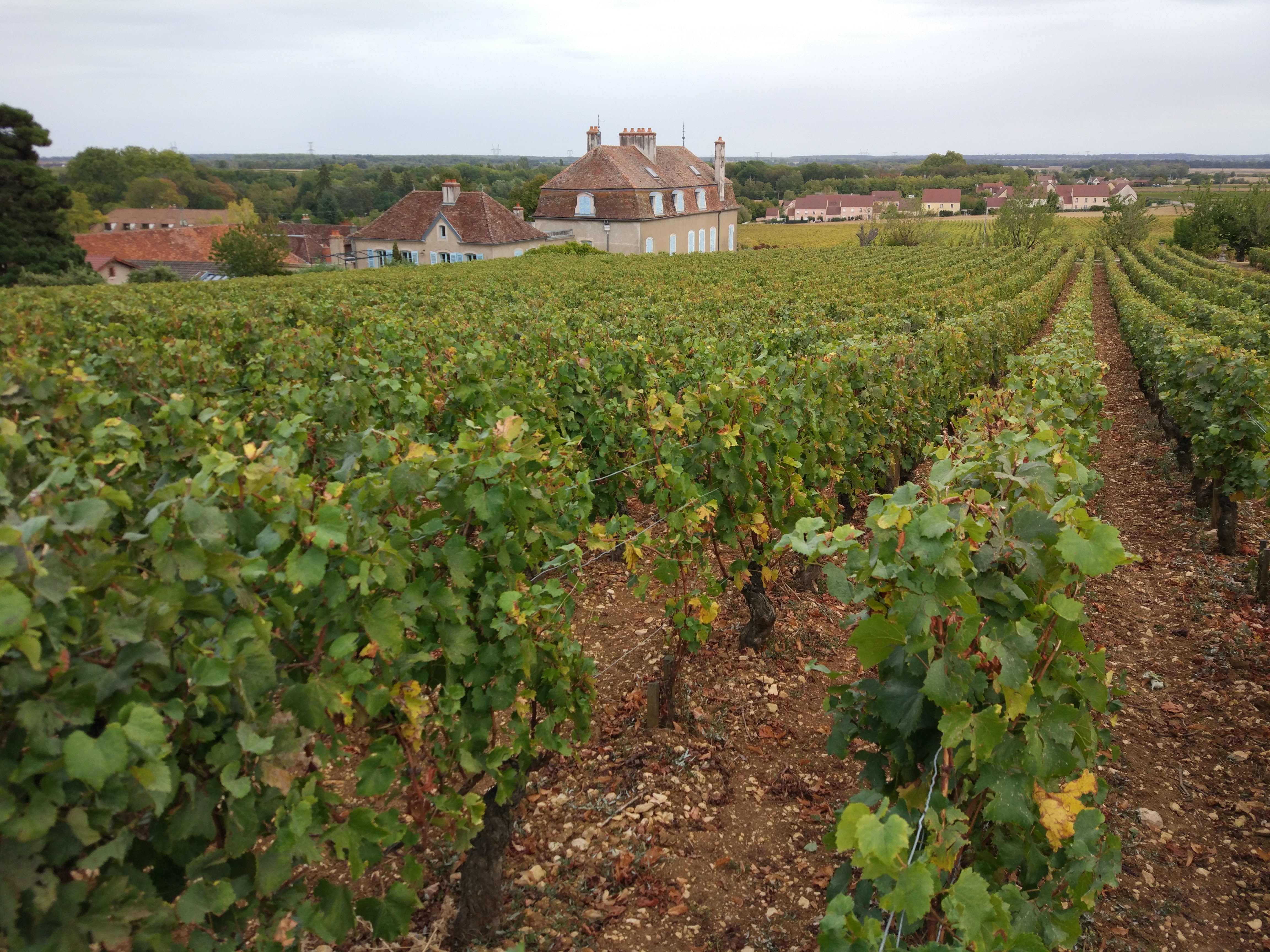 Photo n° 1 de l'avis de Dima.n fait le 02/10/2018 à 16:41