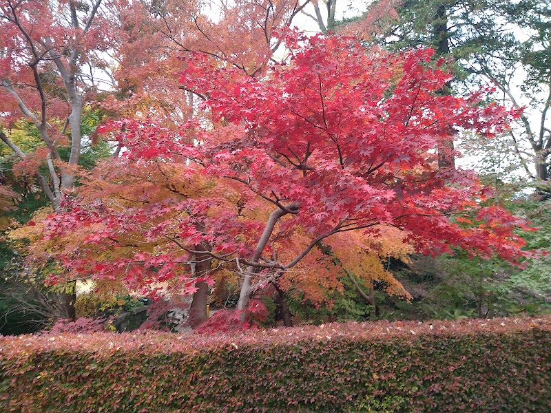 観音寺