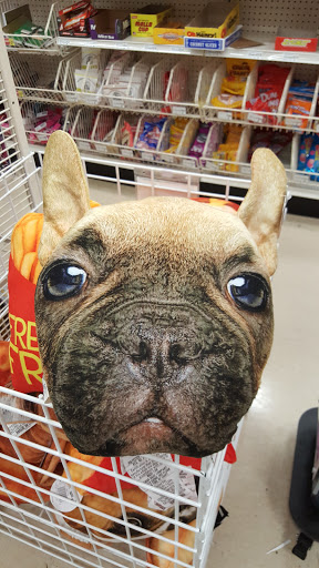 Craft Store «Michaels», reviews and photos, 205 Palm Bay Rd NE #14, West Melbourne, FL 32904, USA