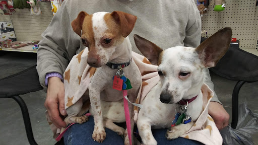 Pet Supply Store «PetSmart», reviews and photos, 4190 Vinewood Ln N, Plymouth, MN 55442, USA