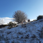 Photo n° 1 de l'avis de laverdure.a fait le 01/12/2021 à 15:25 pour Le gîte du caroux à Rosis