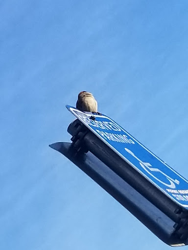 Department Store «Walmart Supercenter», reviews and photos, 2750 Prospect Ave, Helena, MT 59601, USA