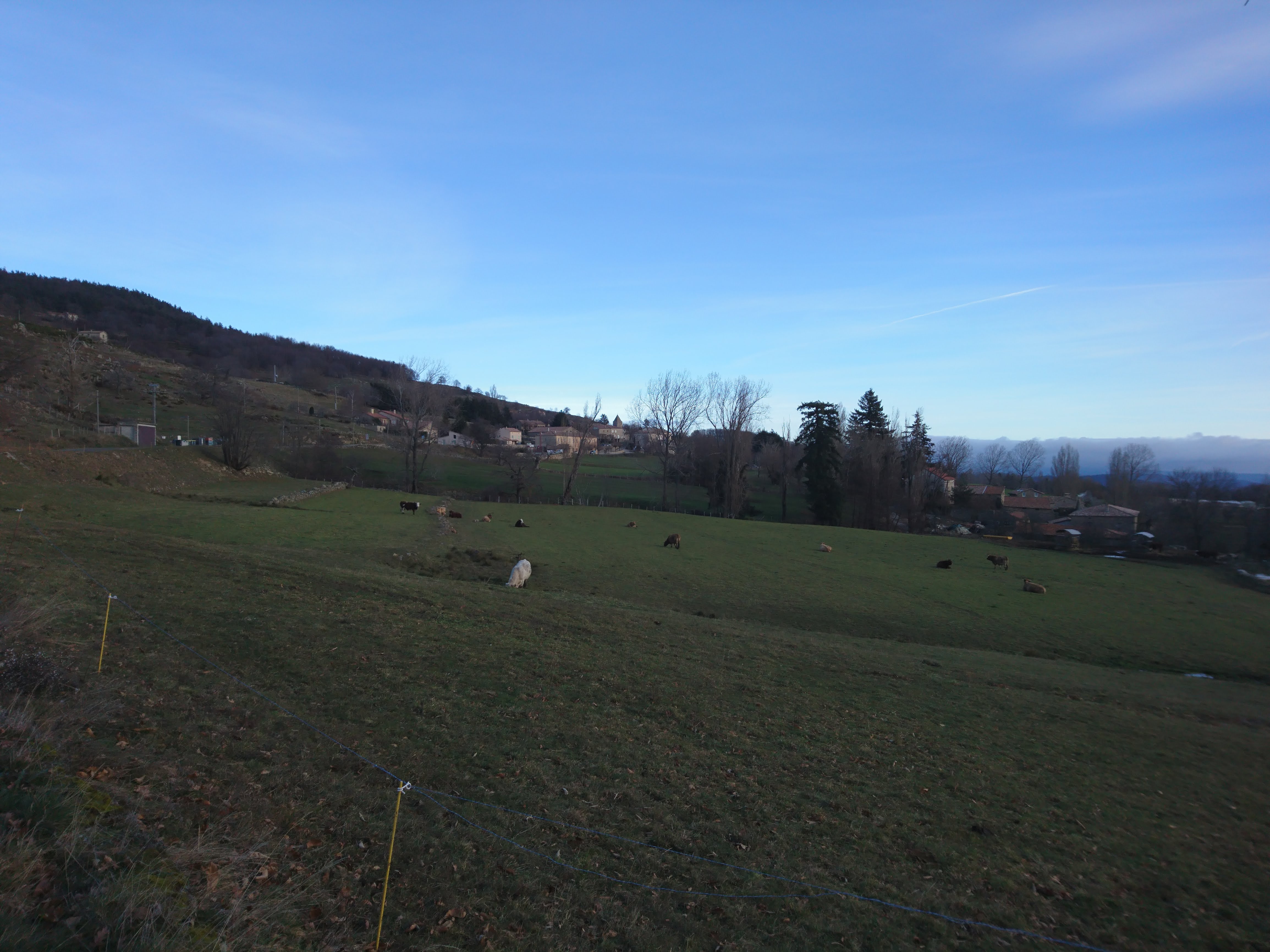 Photo n° 6 de l'avis de celia.t fait le 29/01/2019 à 11:23