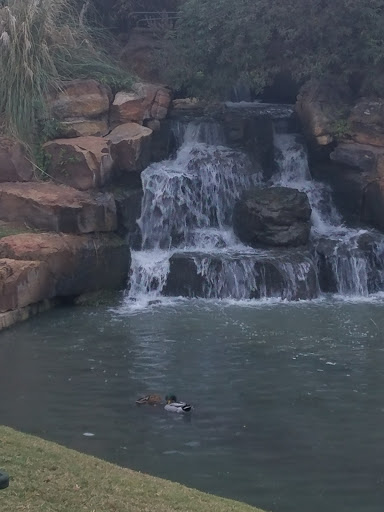 Park «Frisco Central Park», reviews and photos, 3155 Parkwood Blvd, Frisco, TX 75034, USA