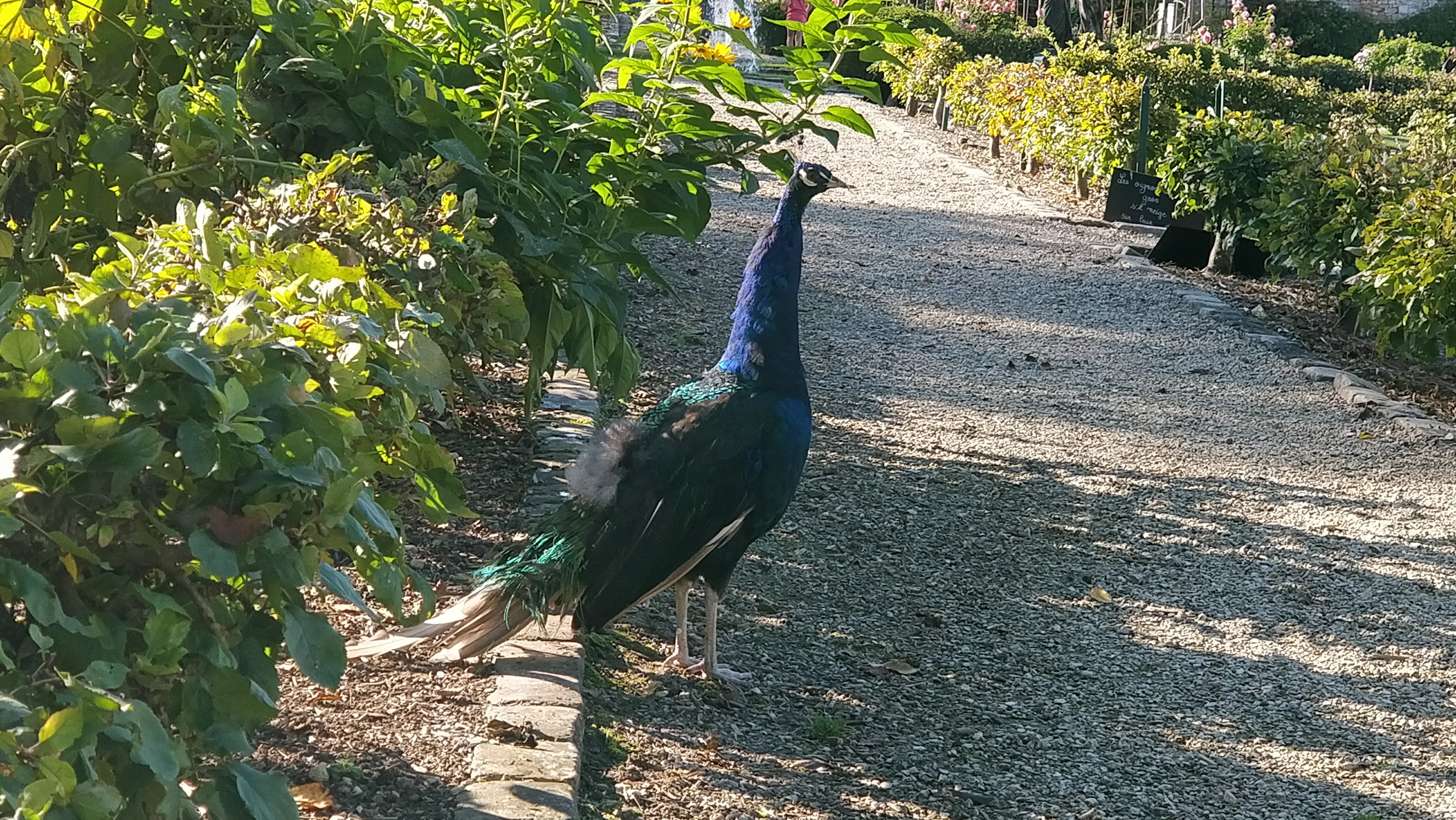 Photo n° 11 de l'avis de Céline. fait le 24/10/2017 à 16:48