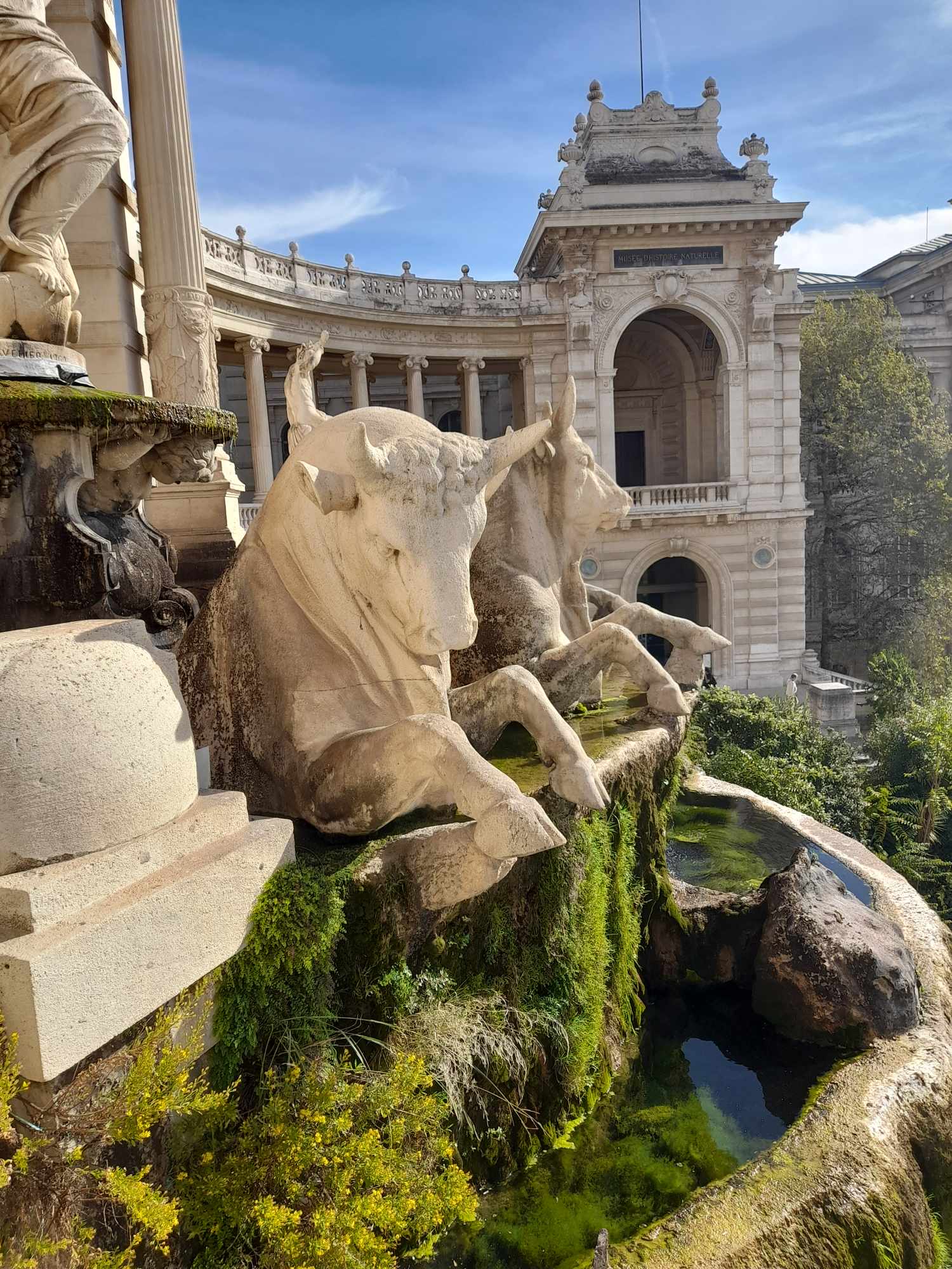 Photo n° 5 de l'avis de Paule.e fait le 16/10/2023 à 15:48