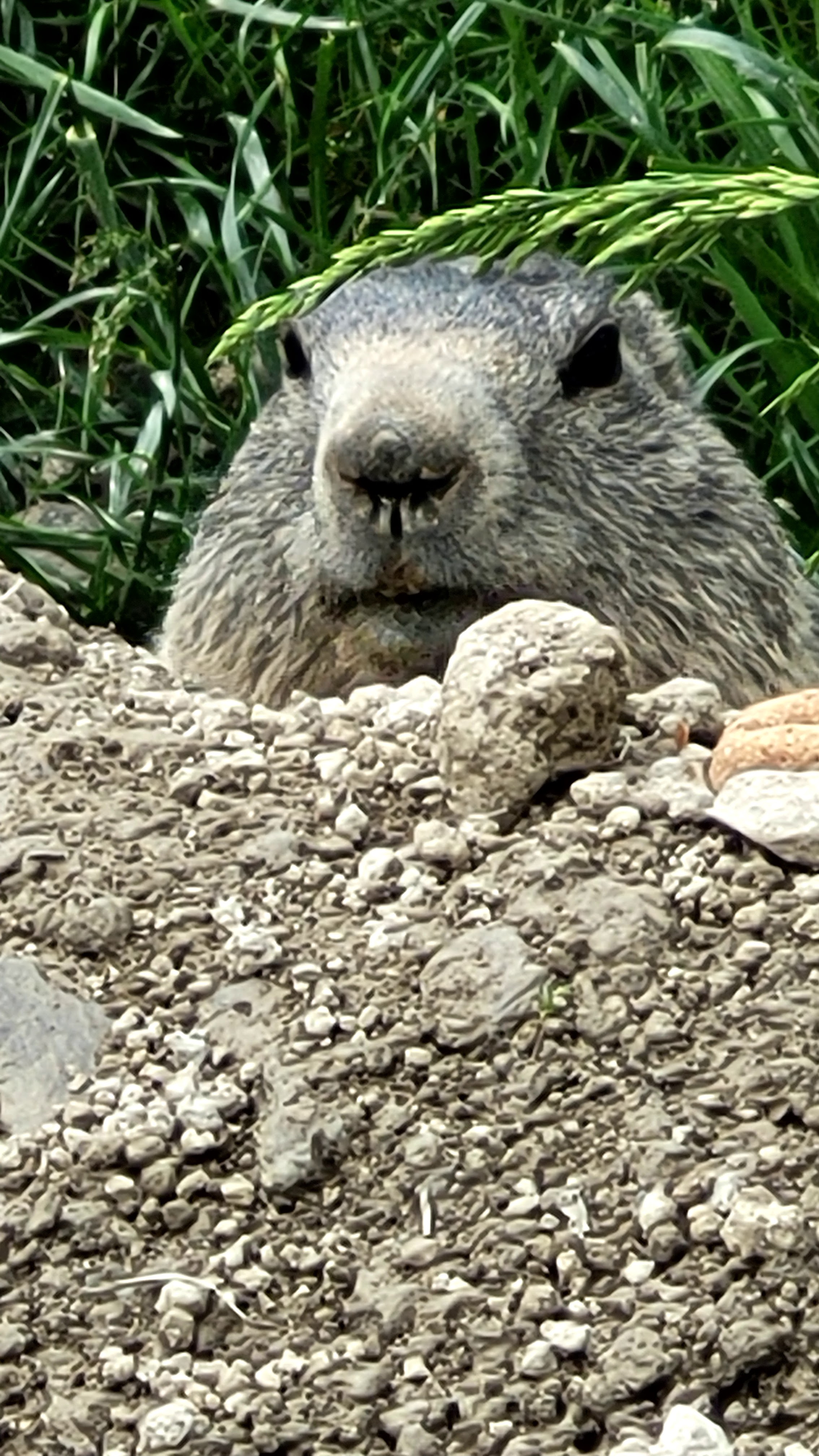 Photo n° 40 de l'avis de PASSIONS.O fait le 24/05/2023 à 09:56