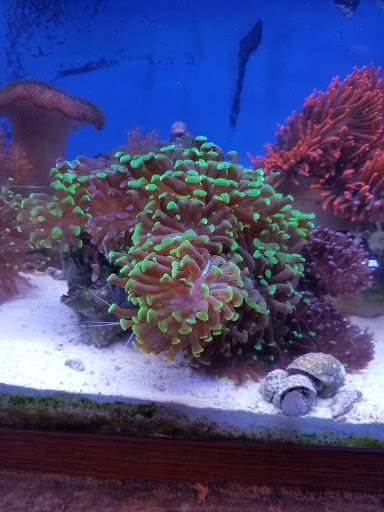 Pet Store «Animal Attraction», reviews and photos, 2518 11th Ave, Greeley, CO 80631, USA