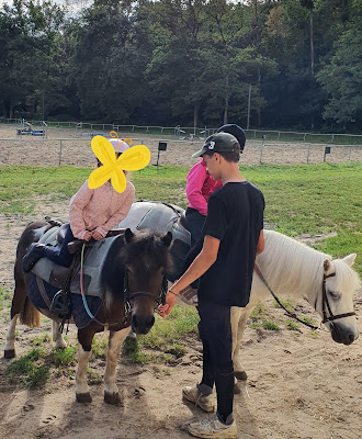 ABC du cheval et du poney à Trigny