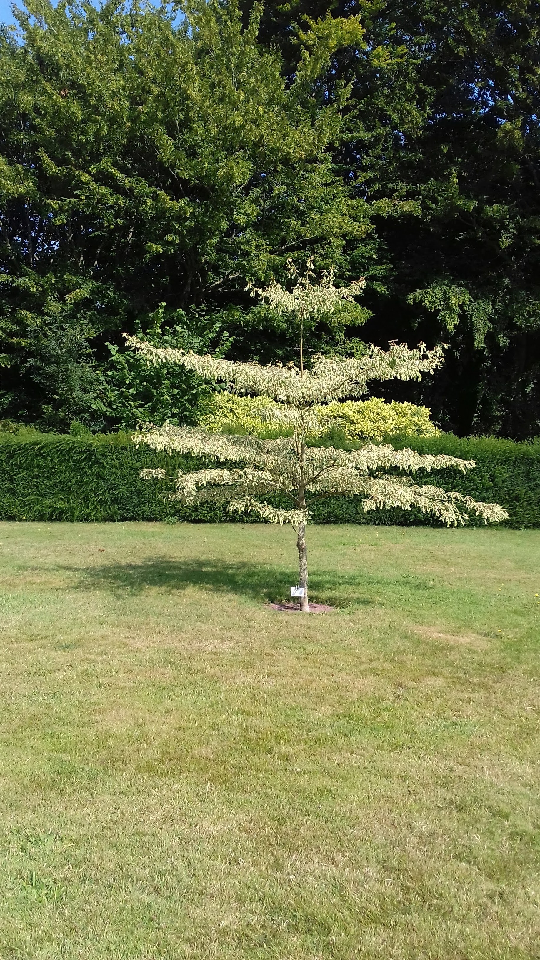 Photo n° 19 de l'avis de Cédric. fait le 02/08/2019 à 11:08