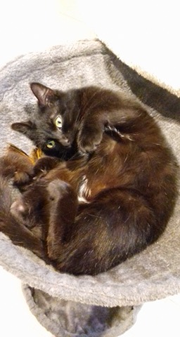 Photo n° 1 de l'avis de Steph. fait le 20/02/2018 à 19:00
