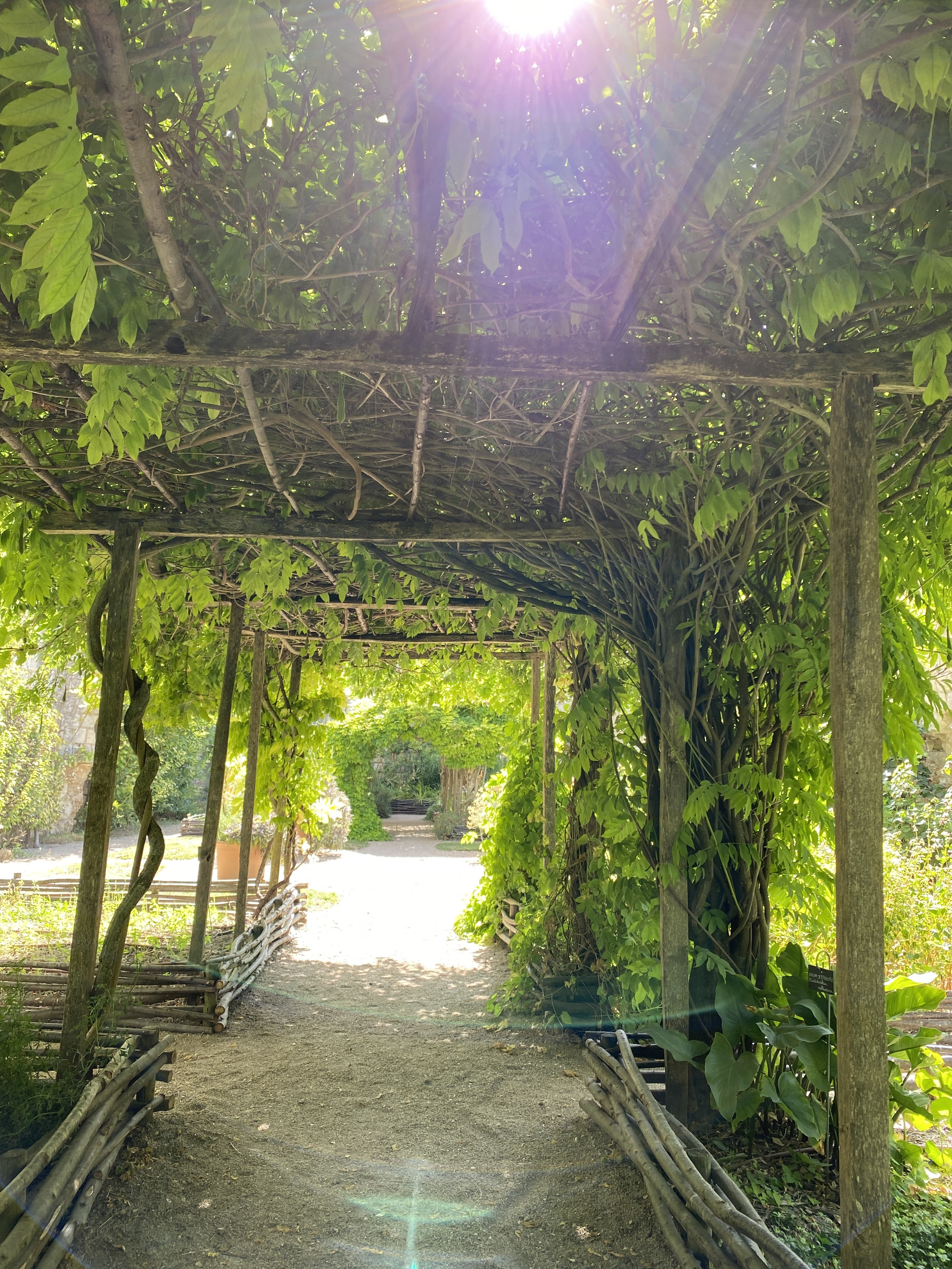 Photo n° 3 de l'avis de Marina.s fait le 26/07/2022 à 08:02