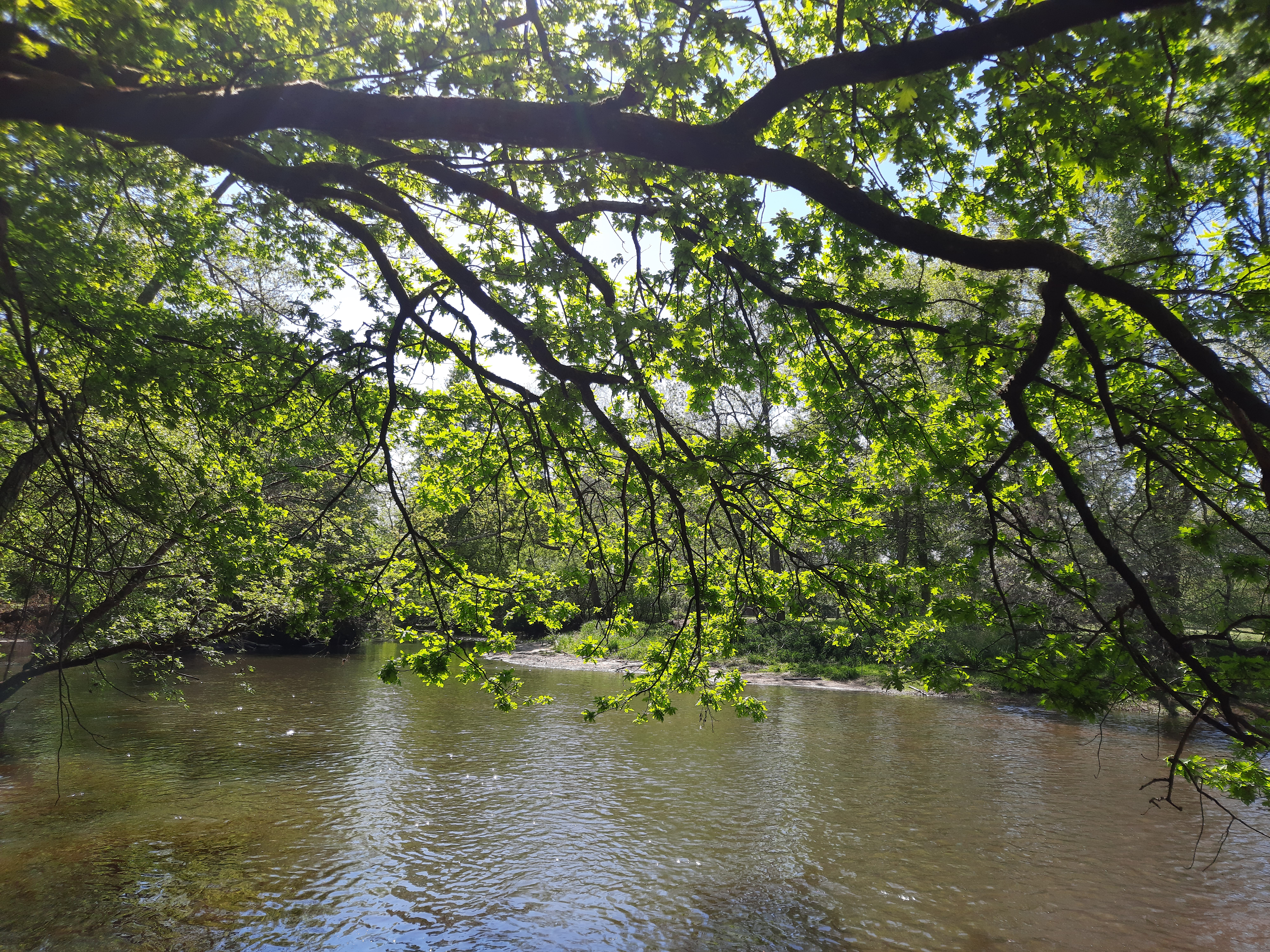 Photo n° 2 de l'avis de Christelle.u fait le 03/05/2021 à 16:28