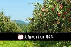 A. Agustin Vega, DDS PS image
