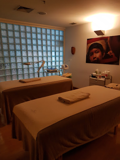 Logo da empresa - Amazonian SPA