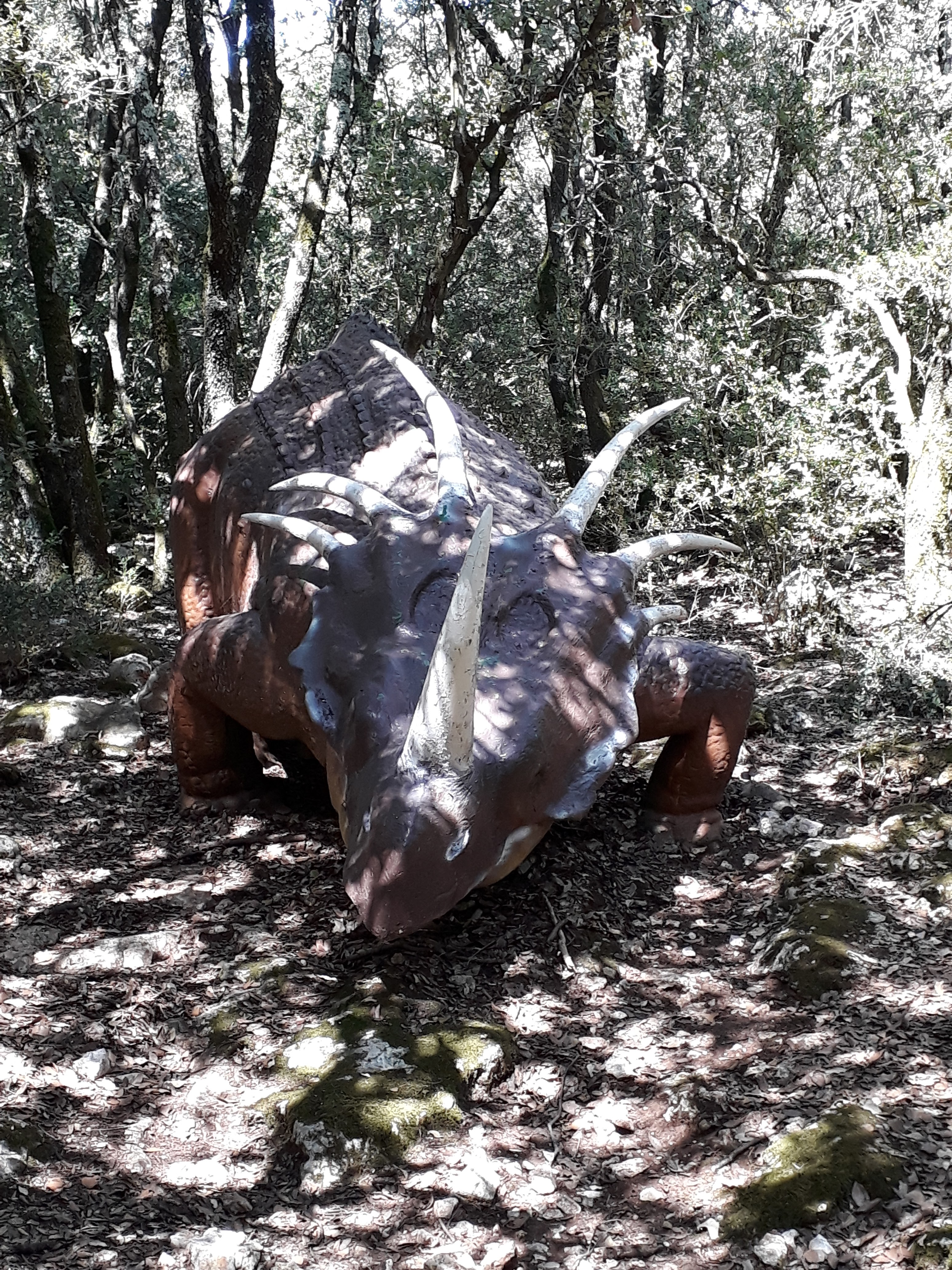 Photo n° 9 de l'avis de Jean-francois.o fait le 28/08/2018 à 14:16