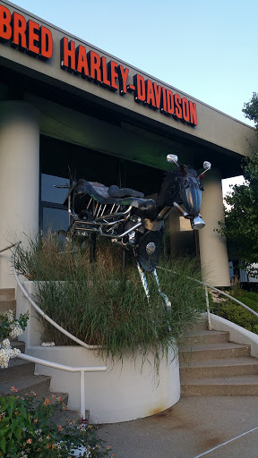 Harley-Davidson Dealer «Thoroughbred Harley-Davidson», reviews and photos, 8025 Action Blvd, Florence, KY 41042, USA