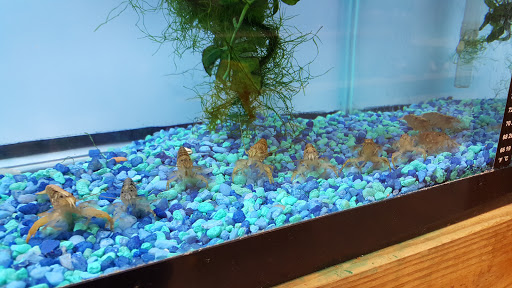 Pet Supply Store «Living Things», reviews and photos, 3437 PA-309, Orefield, PA 18069, USA