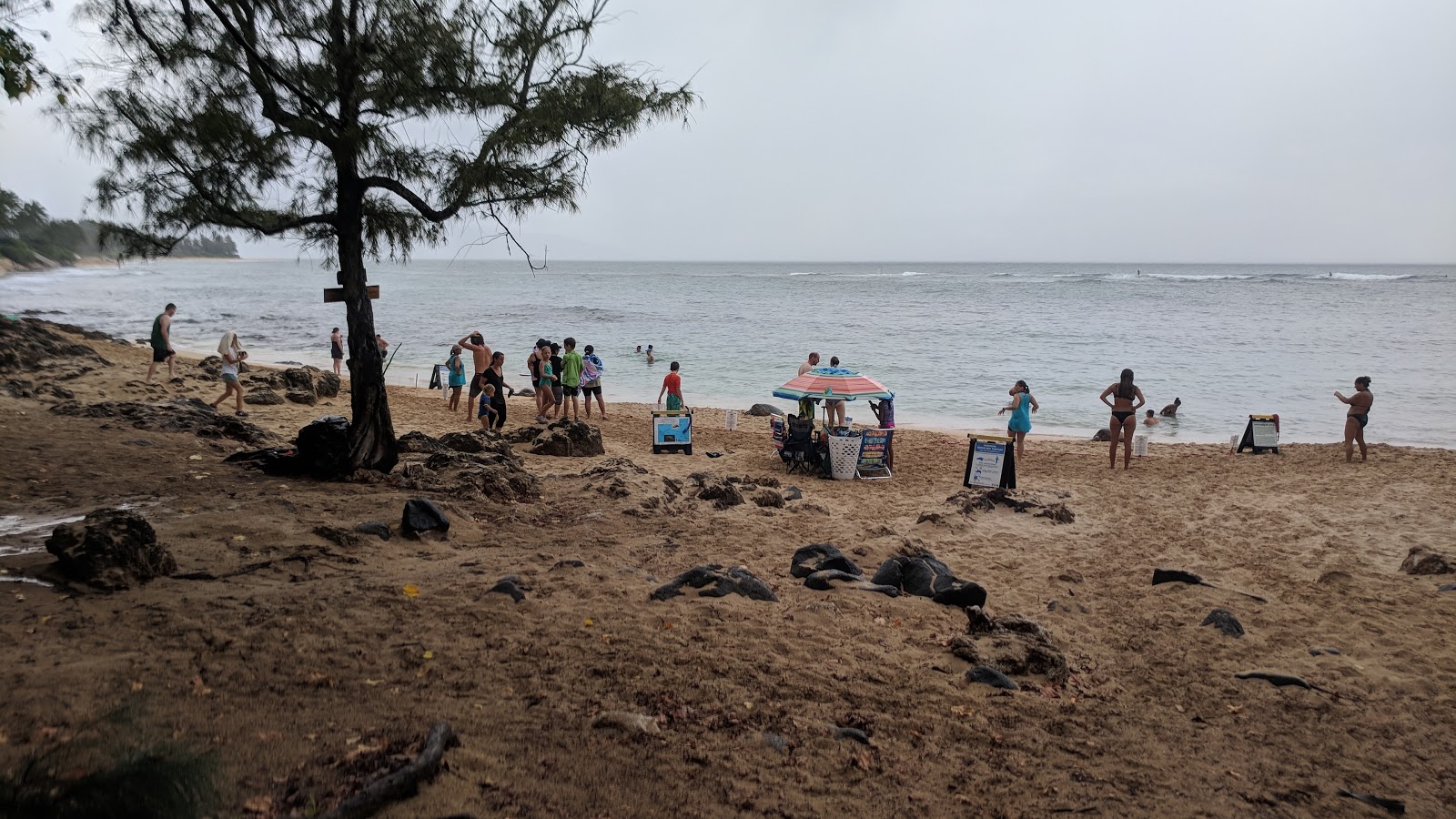 Foto di Laniakea Beach e l'insediamento
