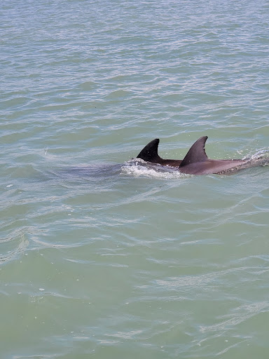 Boat Rental Service «Boat Rentals at Naples Bay Resort», reviews and photos, 1500 5th Ave S, Naples, FL 34102, USA