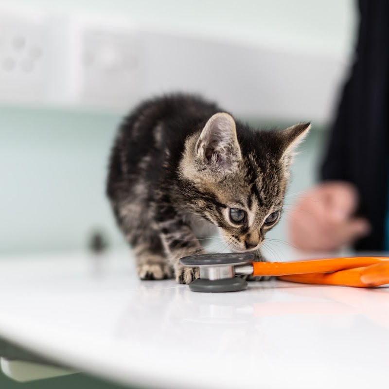 Inglis Veterinary Hospital