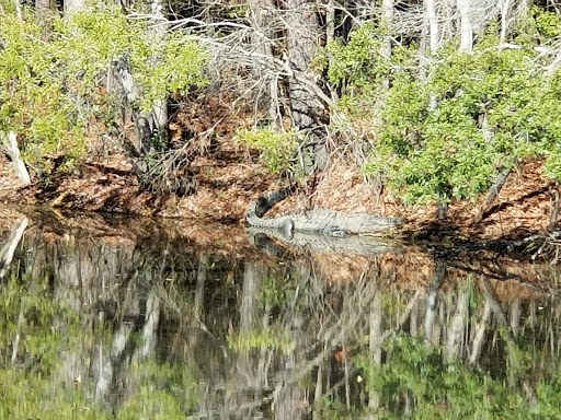 Golf Course «Witch Golf Links», reviews and photos, 1900 SC-544, Conway, SC 29526, USA