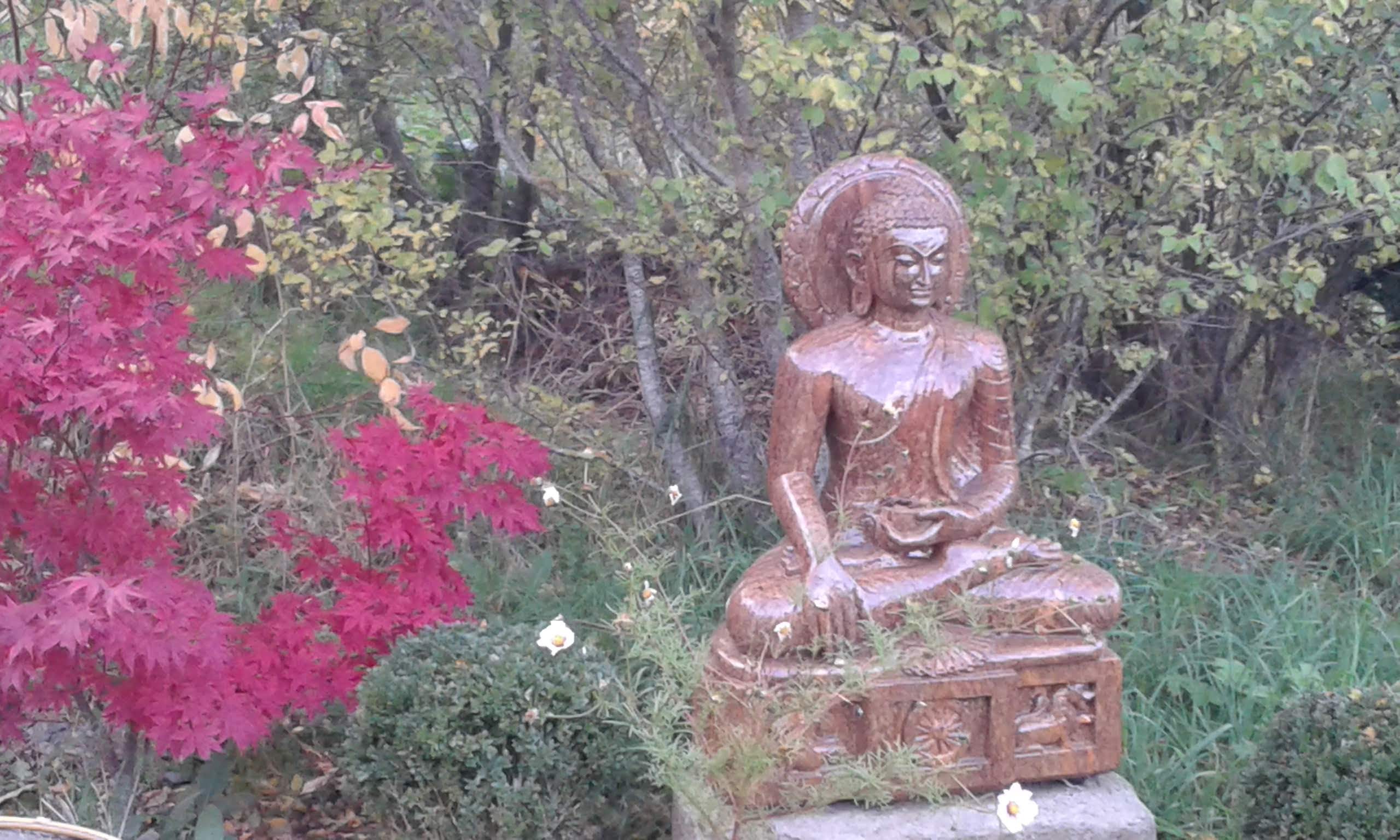 Photo n° 10 de l'avis de Michelle. fait le 21/04/2023 à 06:48