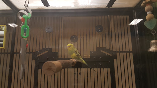 Pet Supply Store «PetSmart», reviews and photos, 156 Old Little Britain Rd, Newburgh, NY 12550, USA