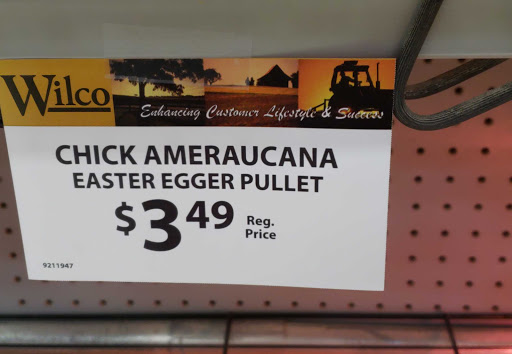 Animal Feed Store «Wilco Farm Store», reviews and photos, 1905 NE Four Acre Pl, Corvallis, OR 97330, USA