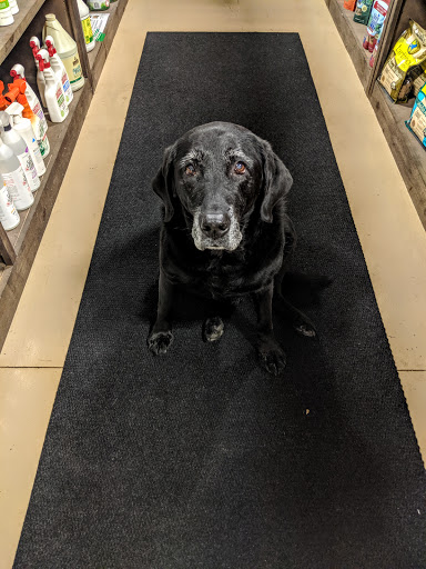 Pet Supply Store «Thomaston Feed», reviews and photos, 141 Watertown Rd, Thomaston, CT 06787, USA