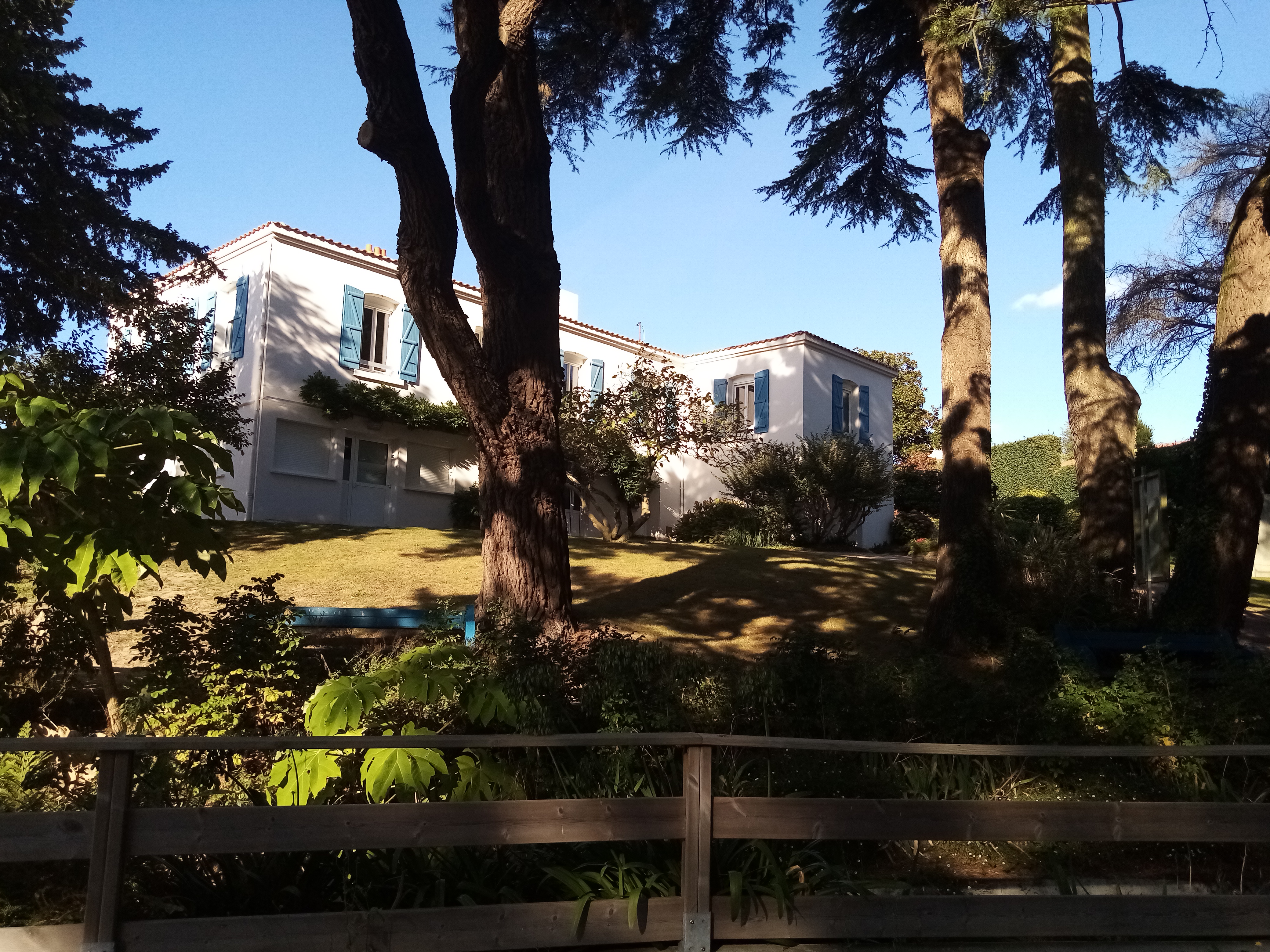 Photo n° 1 de l'avis de vieille.e fait le 01/10/2021 à 15:09
