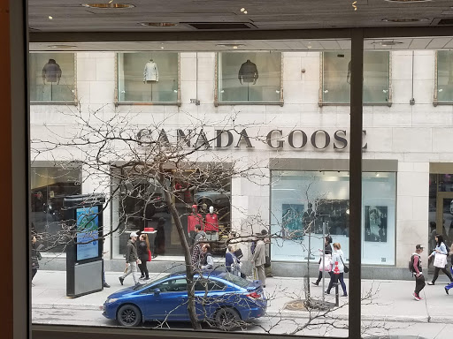 Canada Goose Montreal