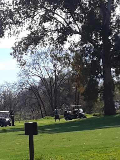 Golf Course «Haggin Oaks Golf Complex», reviews and photos, 3645 Fulton Ave, Sacramento, CA 95821, USA
