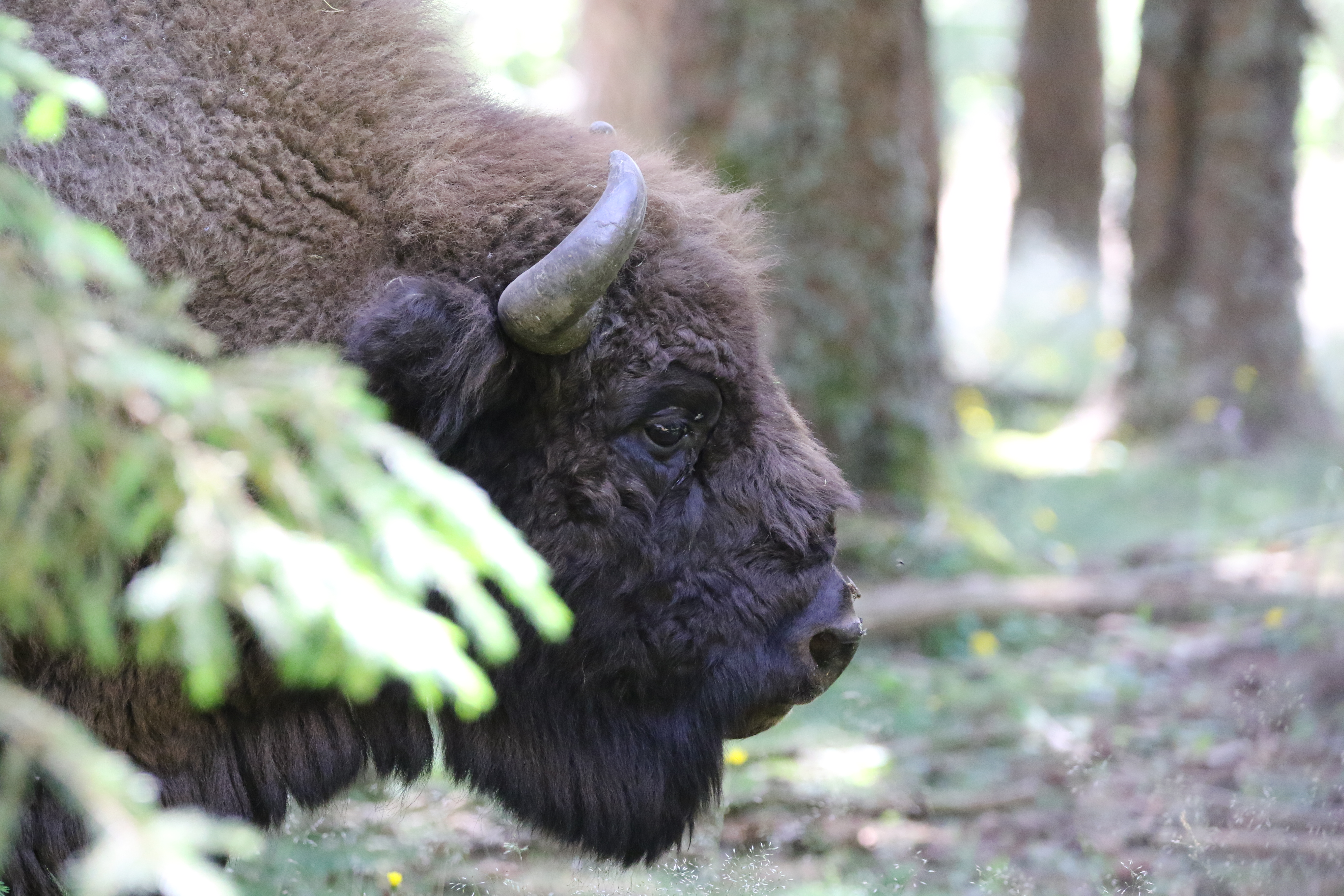 Photo n° 4 de l'avis de Philippe.M fait le 24/07/2023 à 07:54