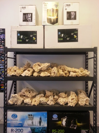 Pet Store «Mandarin SeaLife», reviews and photos, 9633 Old St Augustine Rd #2, Jacksonville, FL 32257, USA