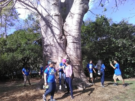 Flea Market «Revelation Marketplace», reviews and photos, 27455 S Dixie Hwy, Homestead, FL 33032, USA