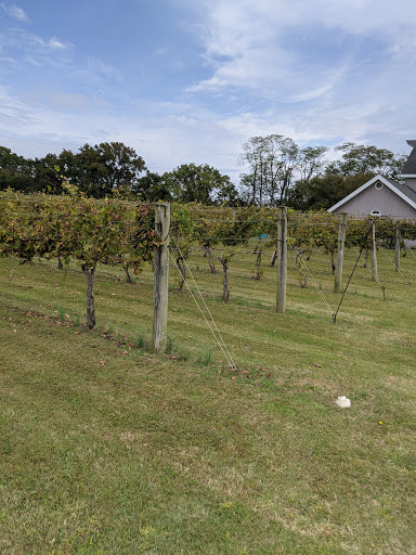 Vineyard «Cascia Vineyards & Winery», reviews and photos, 1200 Thompson Creek Rd, Stevensville, MD 21666, USA
