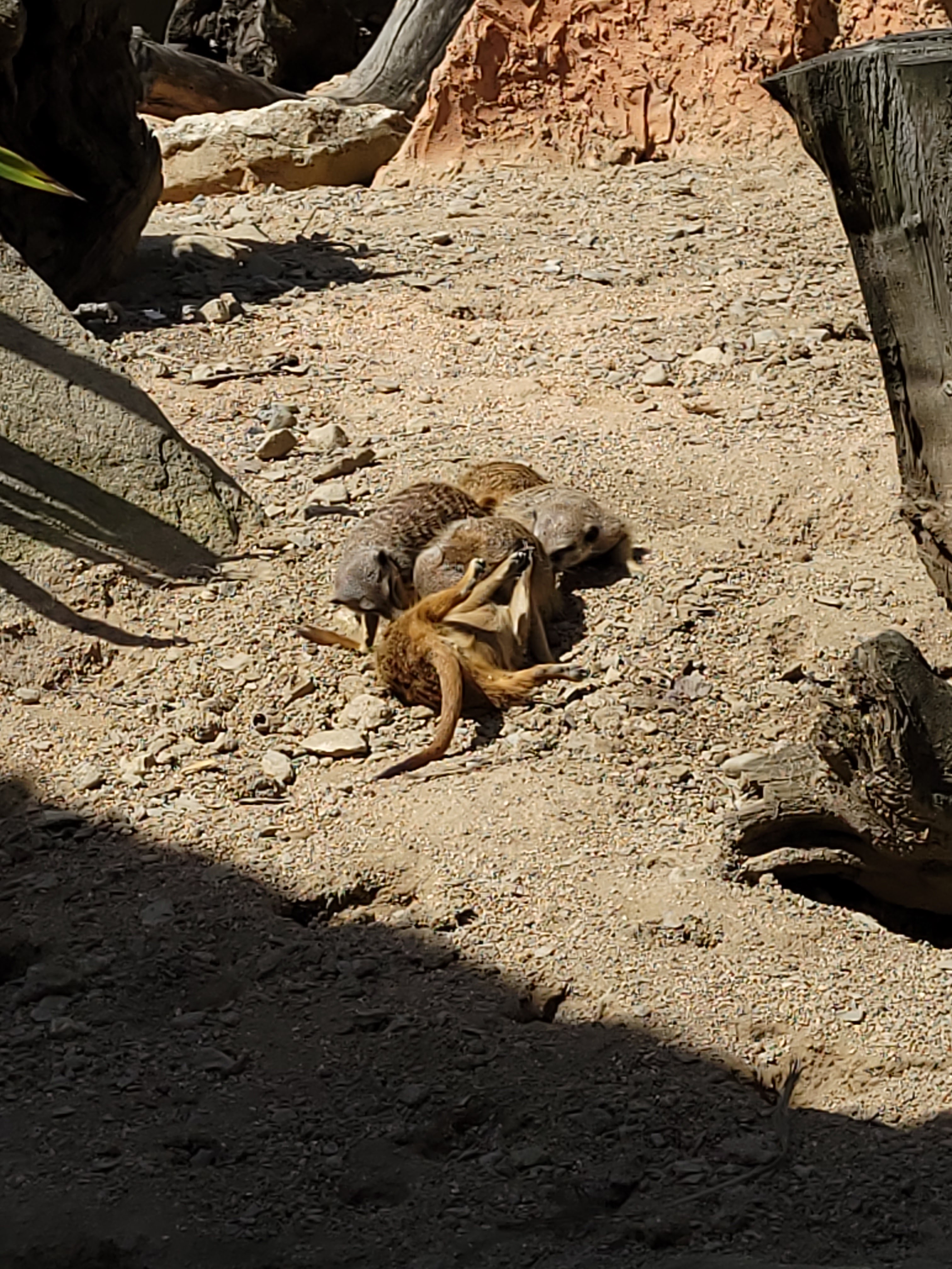 Photo n° 8 de l'avis de krystalita.t fait le 06/05/2023 à 15:24