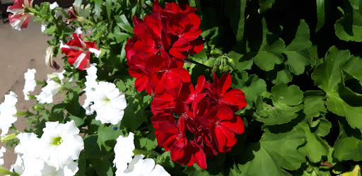 Tourist Attraction «Cave of the Winds», reviews and photos, 100 Cave of the Winds Rd, Manitou Springs, CO 80829, USA