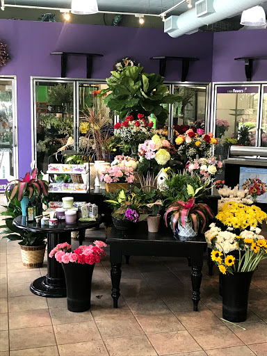 Florist «1-800-Flowers», reviews and photos, 397 Jericho Turnpike, Syosset, NY 11791, USA