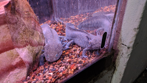 Pet Store «Teske Pet & Garden», reviews and photos, 2423 16th St, Moline, IL 61265, USA