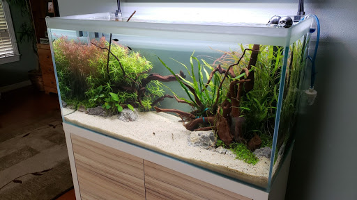 Pet Store «Bluewater Zoo Exotic Aquariums & Reptiles», reviews and photos, 159 Miracle Strip Pkwy SE, Fort Walton Beach, FL 32548, USA