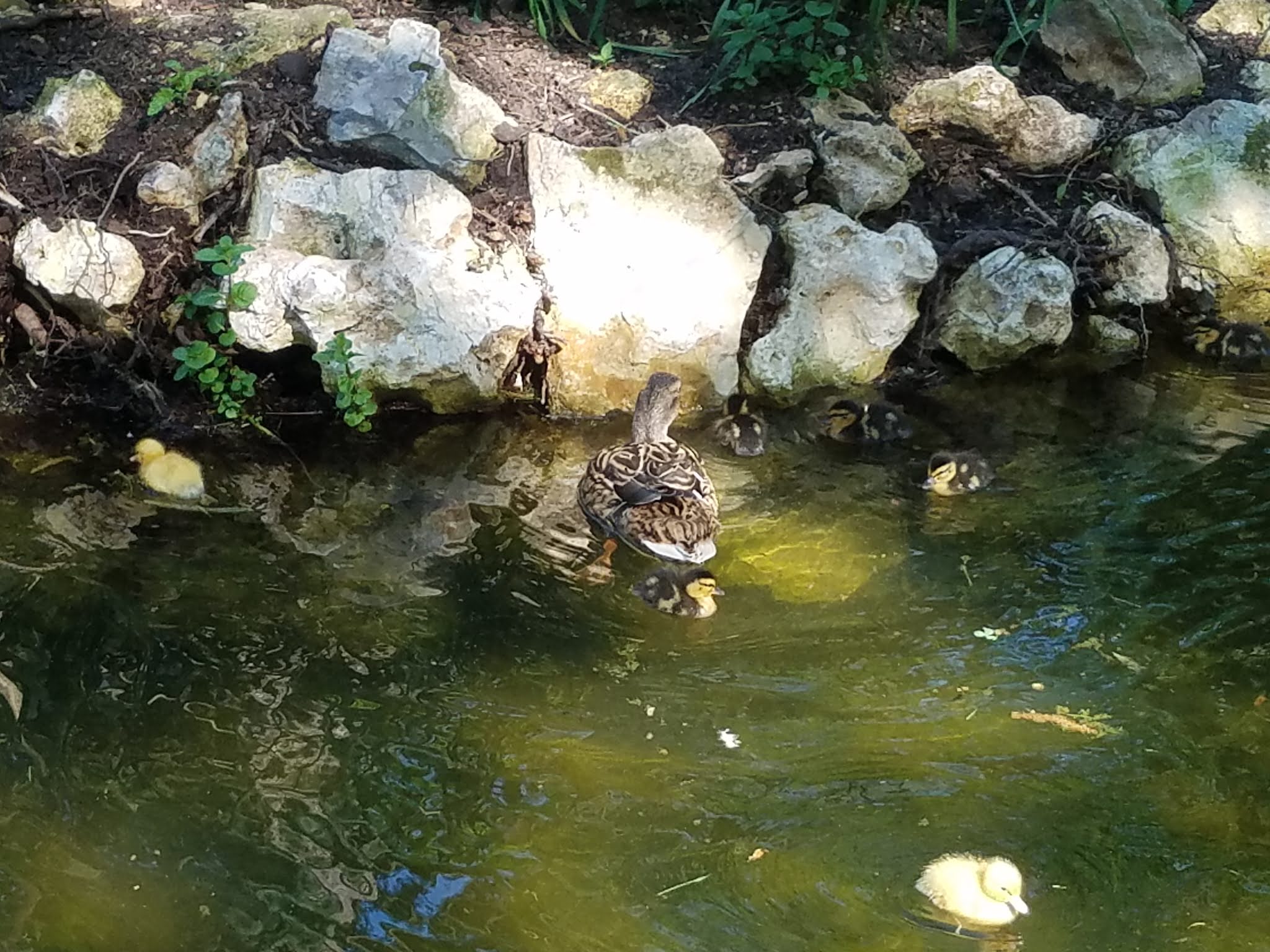 Photo n° 3 de l'avis de Elo.i fait le 14/09/2019 à 15:15